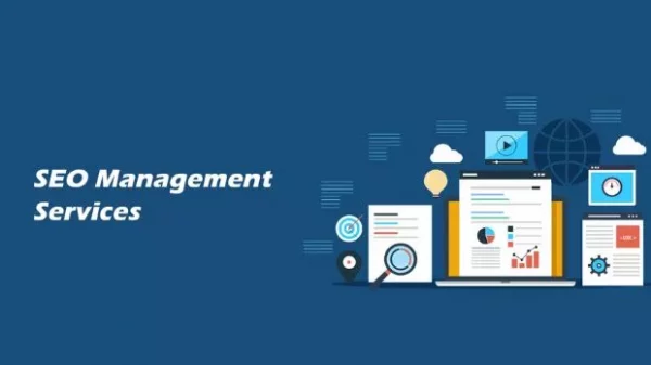Seo Management