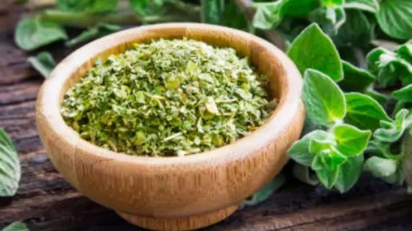 oregano spice