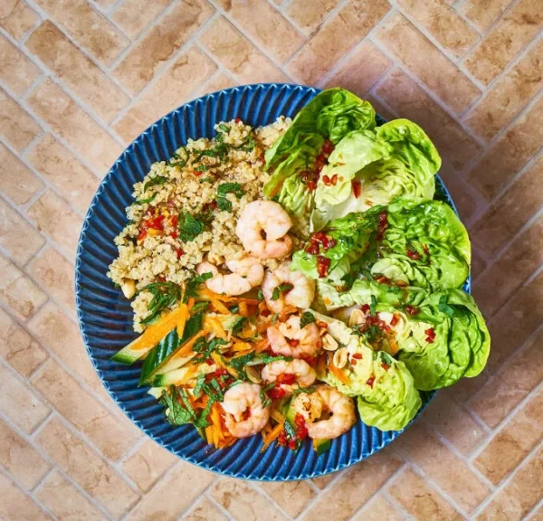Quinoa Recipes