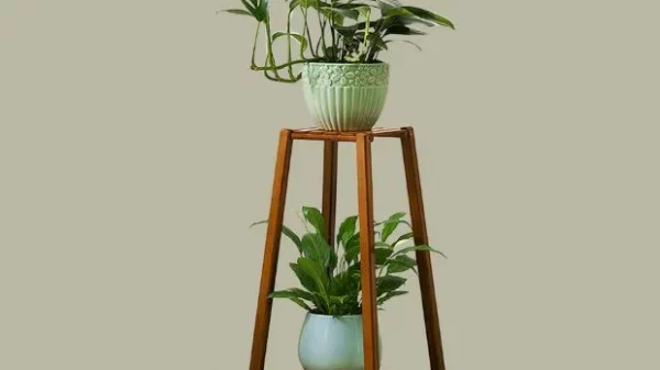 Indoor plant stand