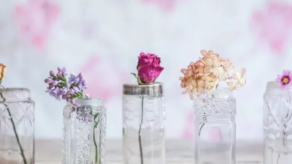 Small Glass Vases