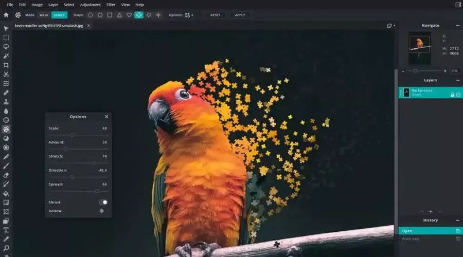 Best Photo Editing Software for Stunning Edits