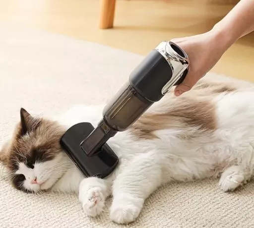 Temu pet products | Hermagic