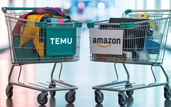 Temu vs Amazon | Hermagic