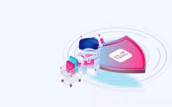 Temu vs Amazon | Hermagic