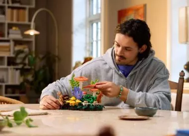 LEGO para adultos | Hermagic