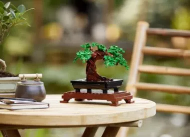 LEGO para adultos | Hermagic