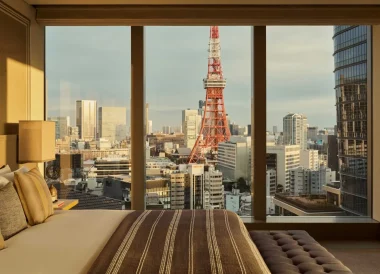 6290123-janu-tokyo-tokyo-japan