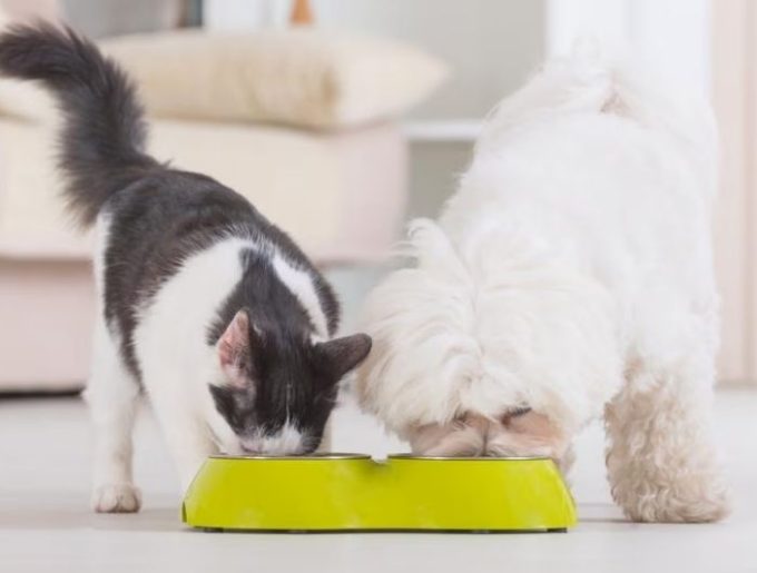 Untitled design - 2026-01-23T152409.649