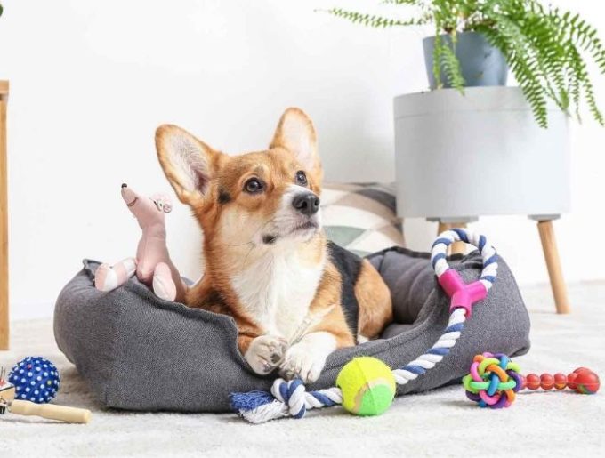 Untitled design - 2026-01-23T155343.260