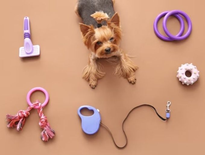 Untitled design - 2026-01-23T162604.702