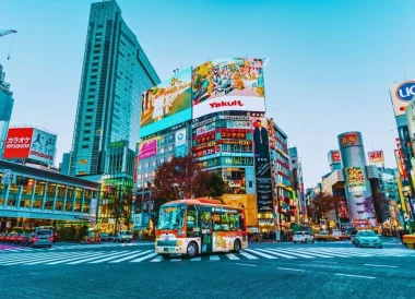 unique-things-to-do-in-tokyo-fi