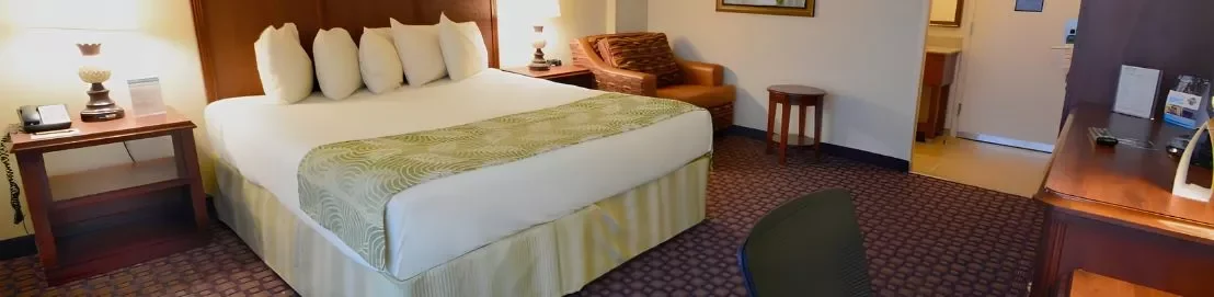 best hotels in Orlando | Hermagic